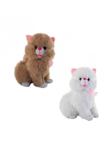 62585 Tombul Kedi 50 CM