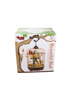 Kutulu Kafesli İkili Kuş (Müzik Ve Kuş Sesi) 2