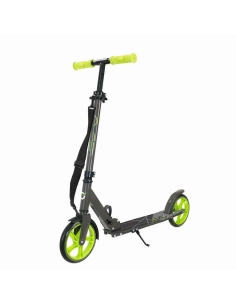 Evo 2 Tekerlekli Flexi Max Yeşil Scooter
