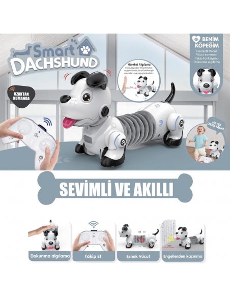 GL-777-603 U/K IŞIKLI VE SESLİ SEVİMLİ ROBOT -VRD