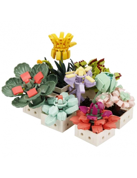 S00004685 BLX FLOWER SET SCULENT 971 PRÇ -SUN