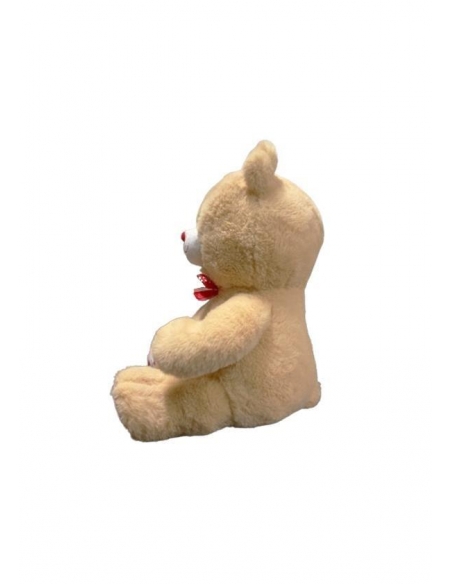 35 CM PATİLEN KALPLİ AYI -HLY