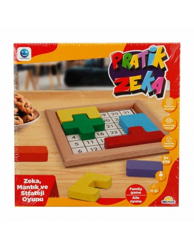 Pratik Zeka Oyunu