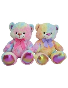 55 CM RENKLİ AYI HALLEY